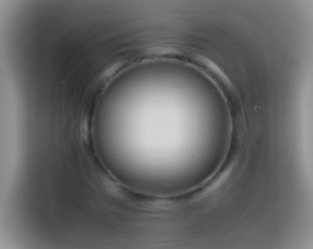 X0000113870777200910011111