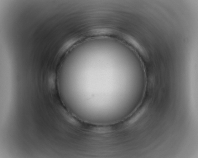 X0000113870778200910011111