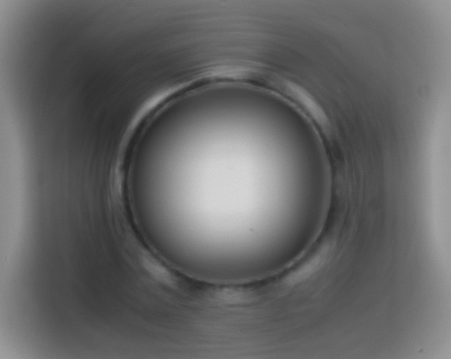 X0000113870779200910011111