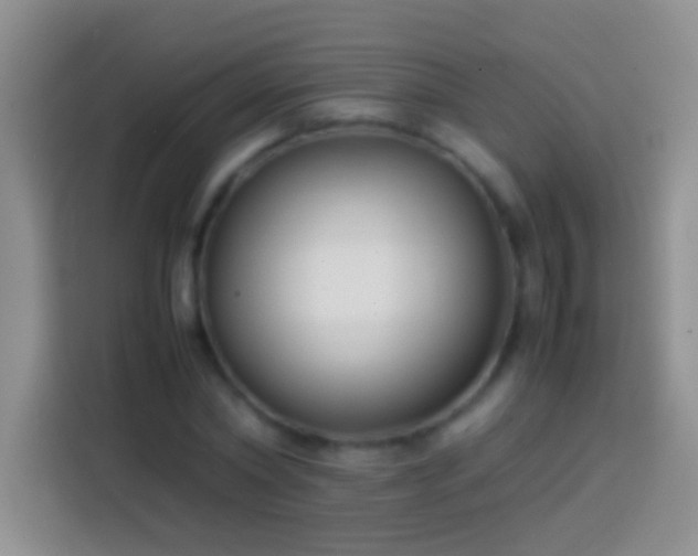 X0000113870782200910011111