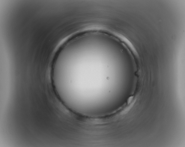 X0000113870783200910011111