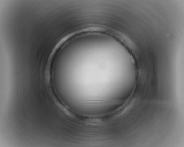 X0000113870784200910011111