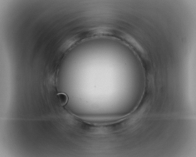 X0000113870785200910011111