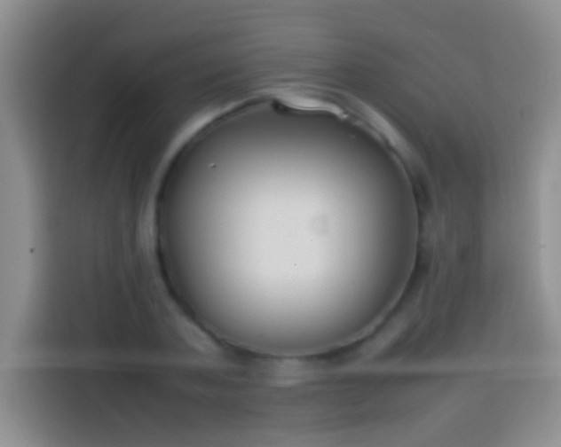 X0000113870787200910011111