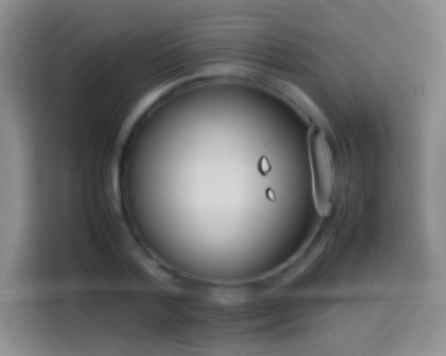 X0000113870788200910011111