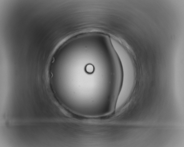 X0000113870789200910011111