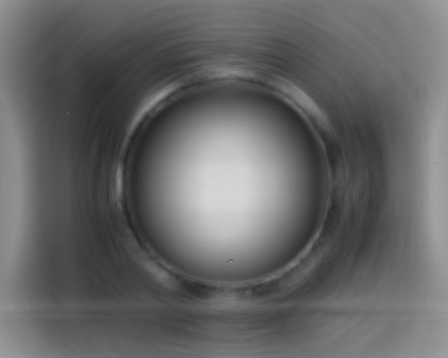 X0000113870790200910011111