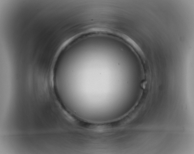 X0000113870791200910011111