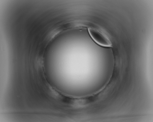 X0000113870793200910011111