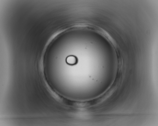 X0000113870795200910011111