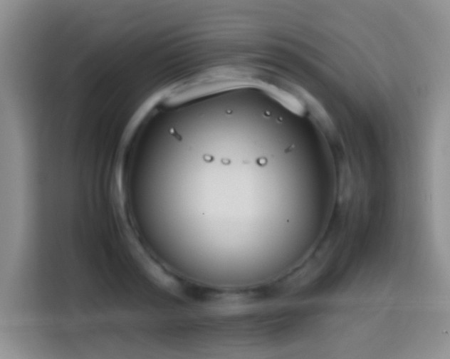 X0000113870796200910011111