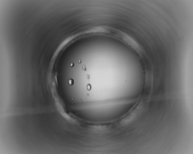 X0000113870800200910011111