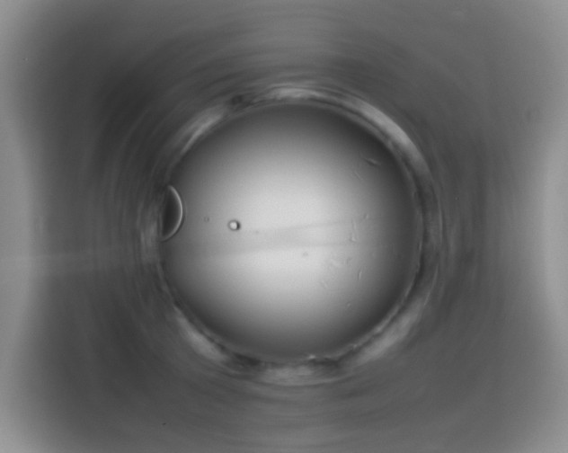 X0000113870801200910011111