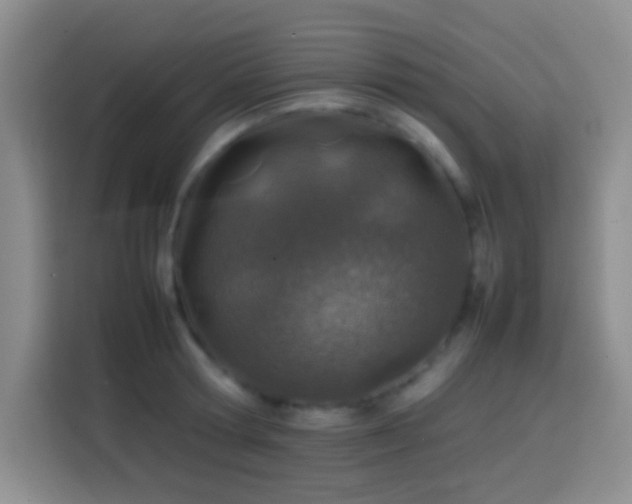 X0000113870802200910011111