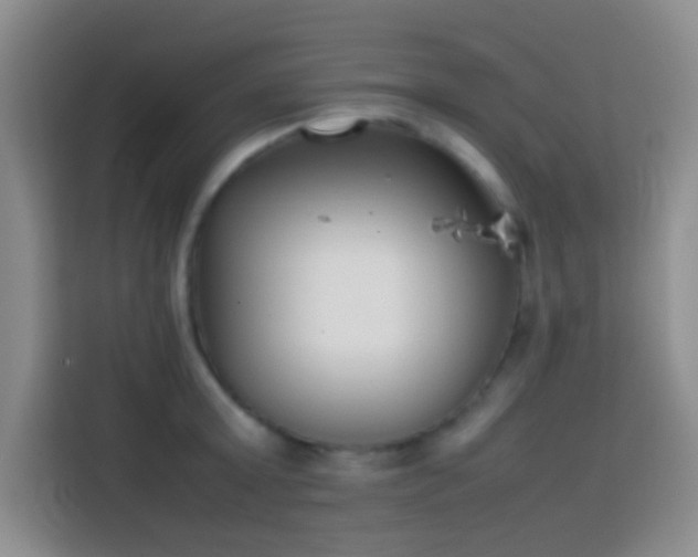 X0000113870803200910011111