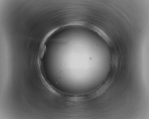 X0000113870804200910011111