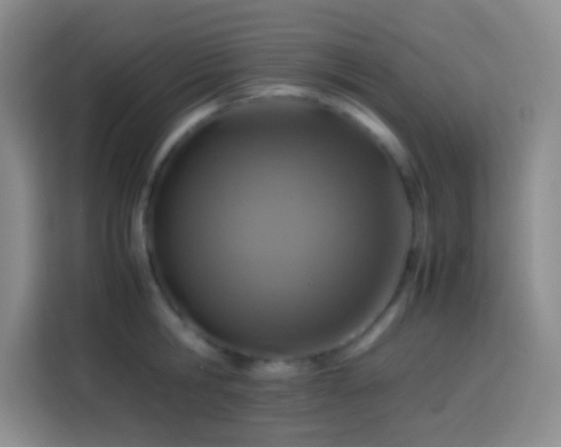 X0000113870806200910011111