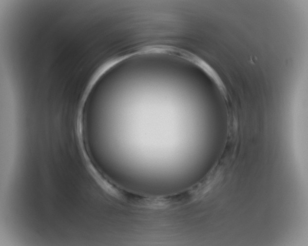 X0000113870811200910011111