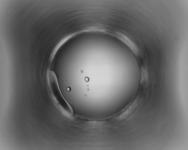 X0000113870812200910011111