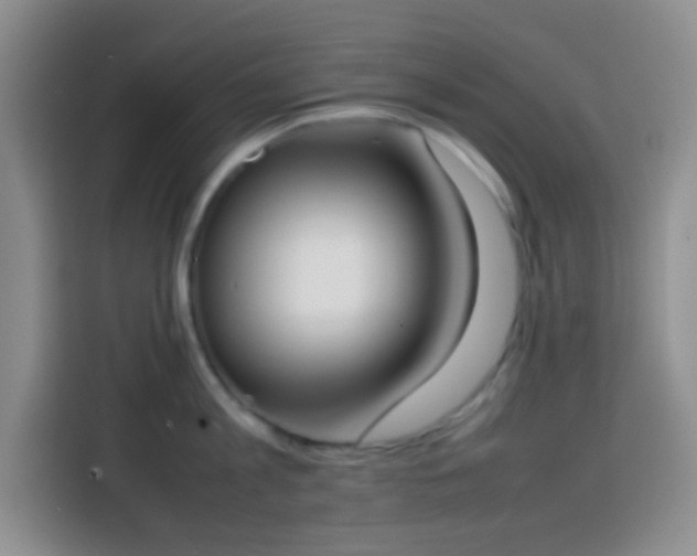 X0000113870813200910011111