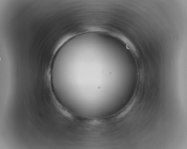 X0000113870814200910011111