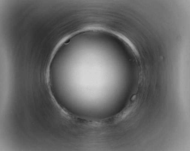 X0000113870815200910011111