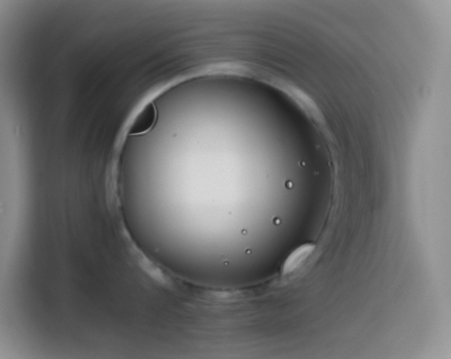 X0000113870816200910011111