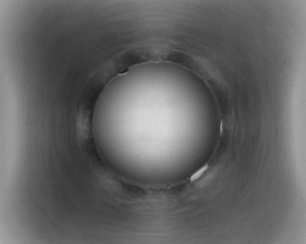 X0000113870818200910011110