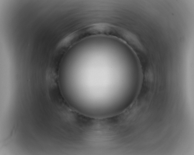 X0000113870822200910011110