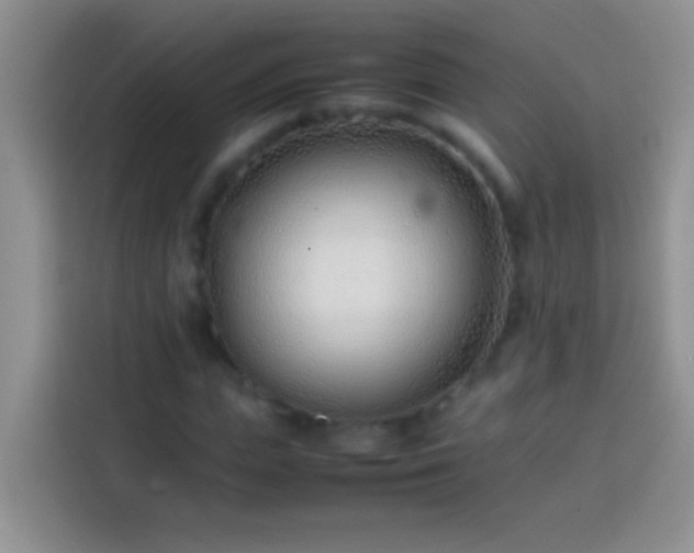 X0000113870823200910011110