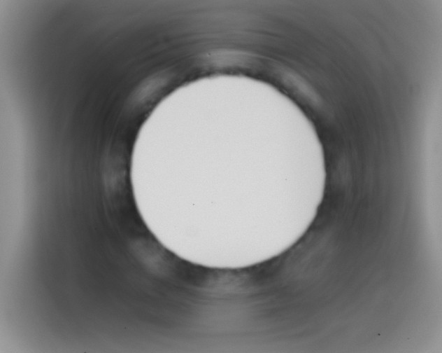 X0000113870824200910011110