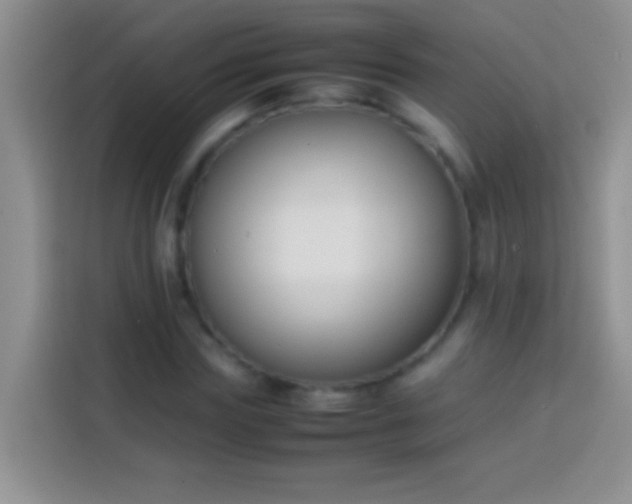 X0000113870827200910011110