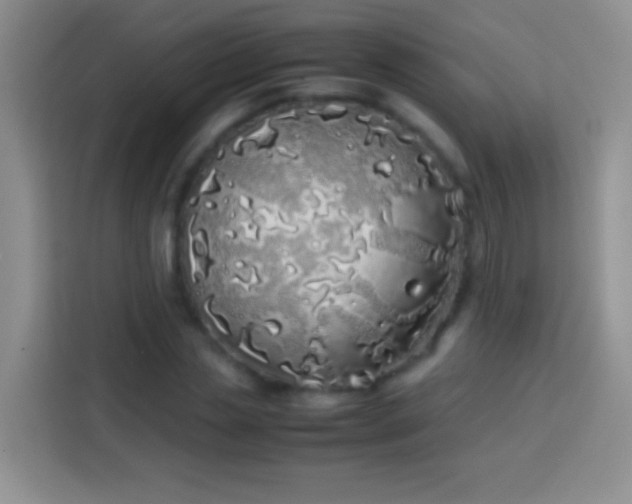 X0000113870829200910011110