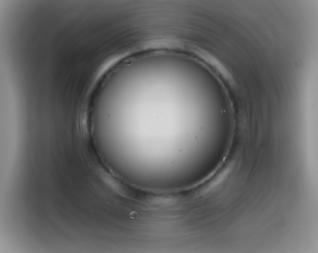 X0000113870830200910011110