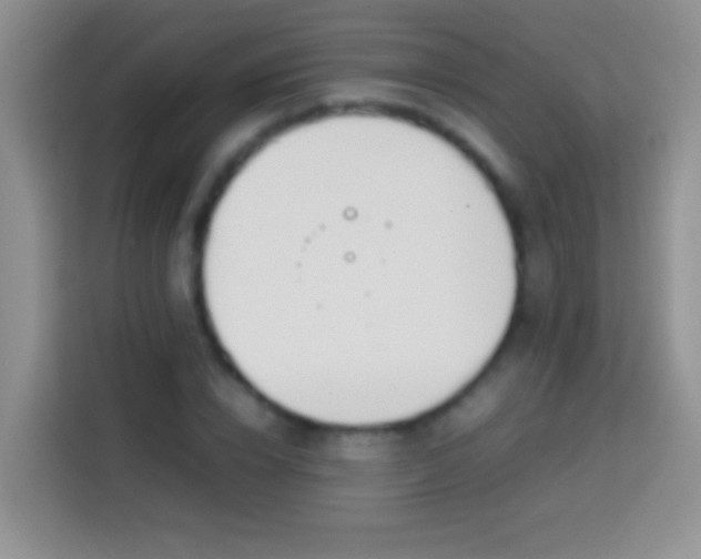 X0000113870832200910011110