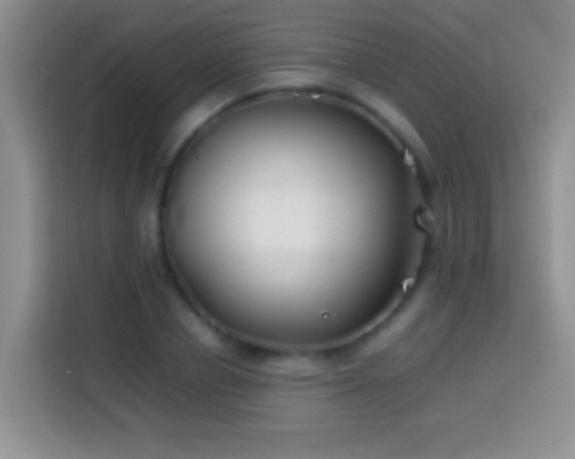 X0000113870834200910011110