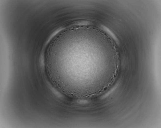 X0000113870835200910011110