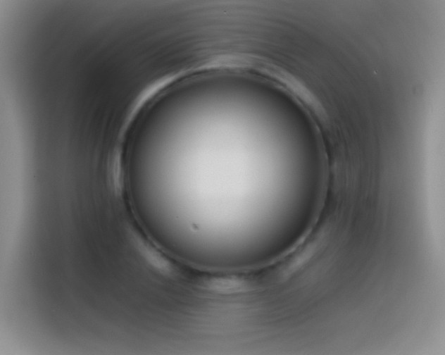 X0000113870838200910011111