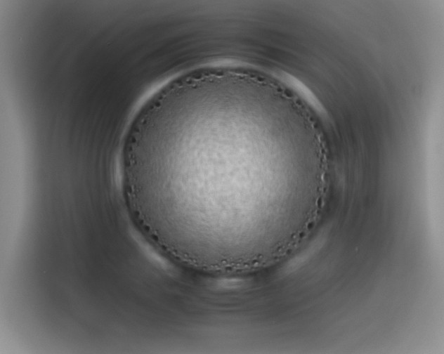 X0000113870839200910011111