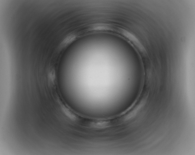 X0000113870841200910011111