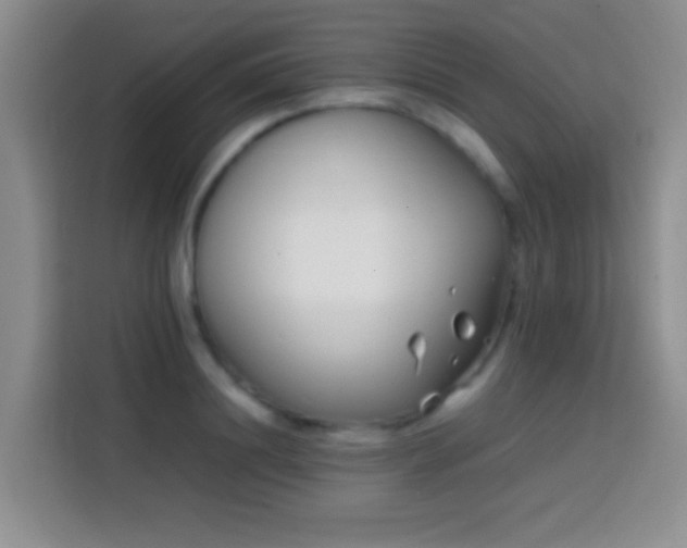 X0000113870844200910011111