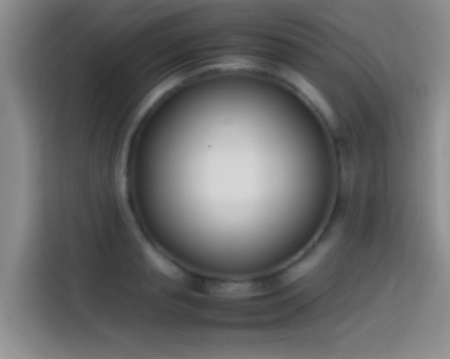 X0000113870845200910011111