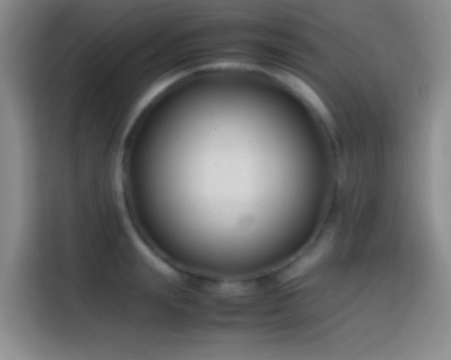 X0000113870847200910011111