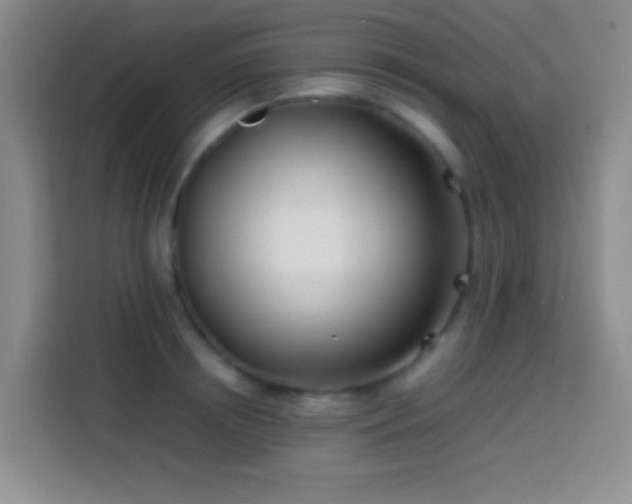 X0000113870850200910011111