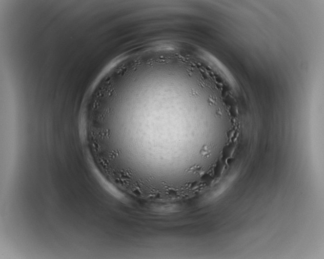 X0000113870851200910011111