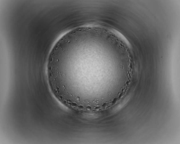 X0000113870855200910011111