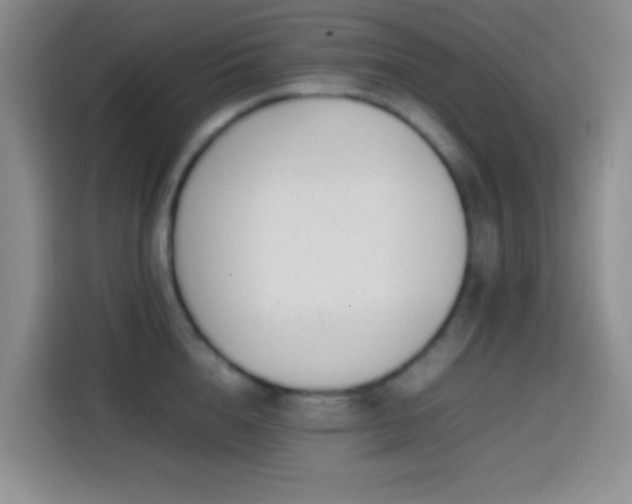 X0000113870856200910011111