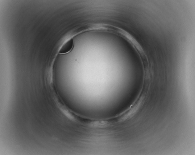 X0000113870858200910011111