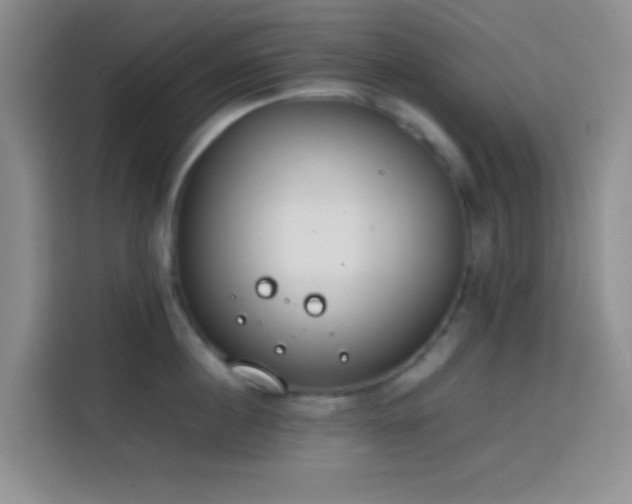 X0000113870860200910011111