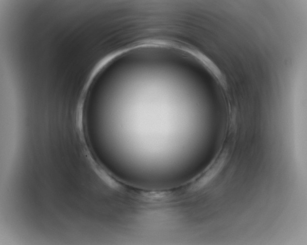 X0000113870862200910011111